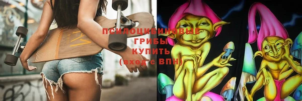 соль ск Богданович