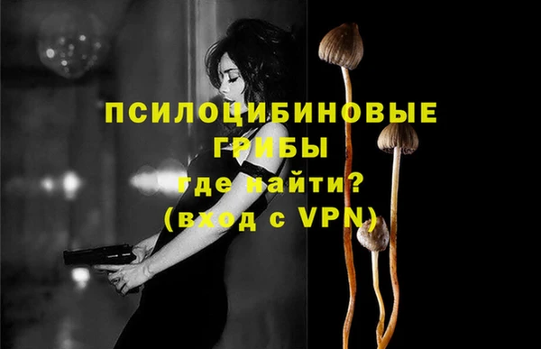 соль ск Богданович