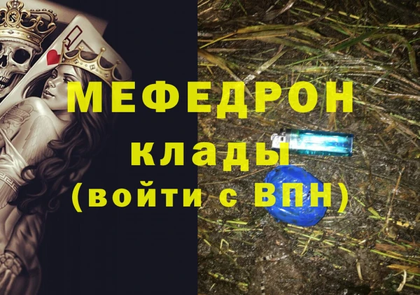 спиды Богородицк