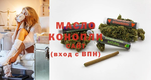 соль ск Богданович