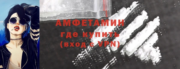 спиды Богородицк