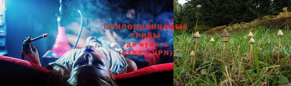 соль ск Богданович